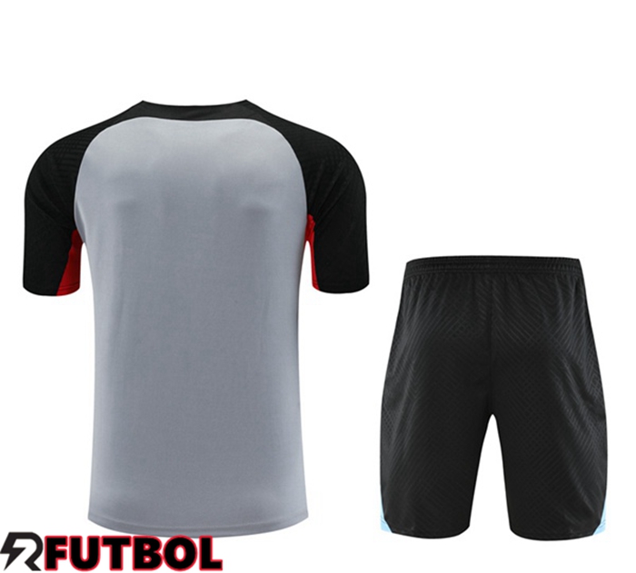 Tienda Camiseta Entrenamiento Fc Barcelona Cortos Gris Baratas